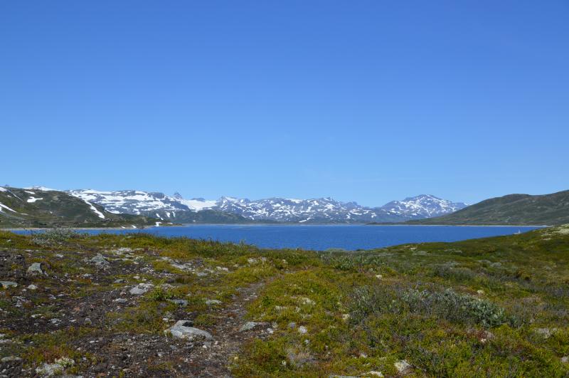 DSC_0349_29.07.17_02.04.18