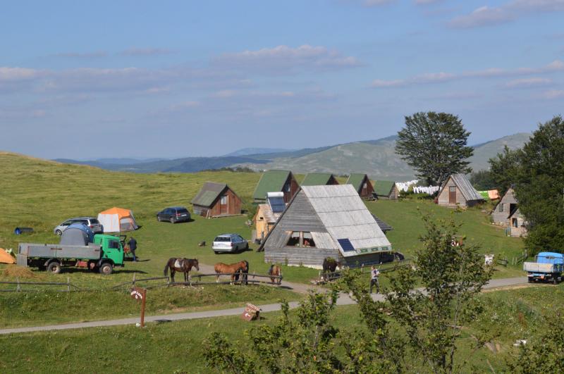 DSC_0719