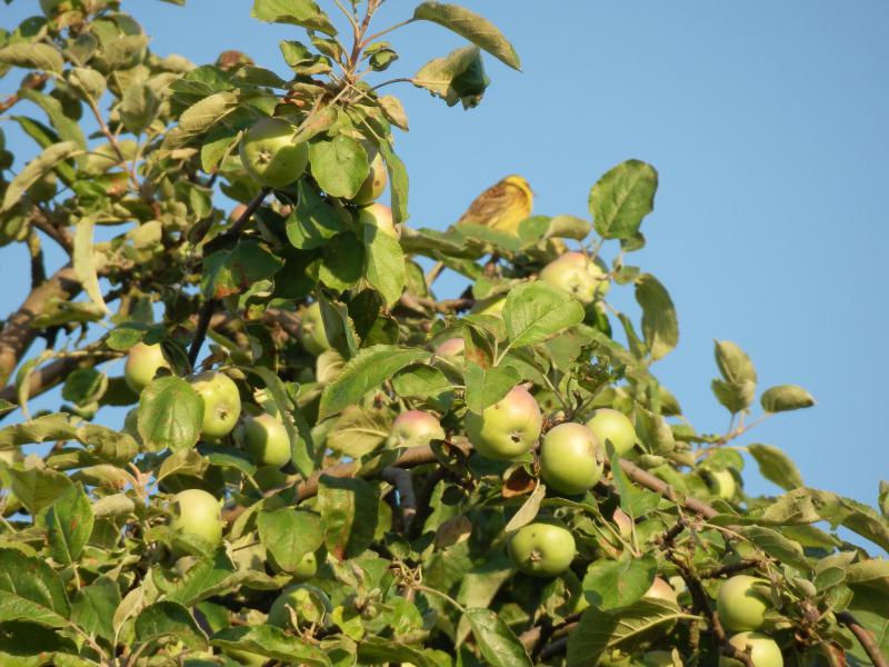 P7230024