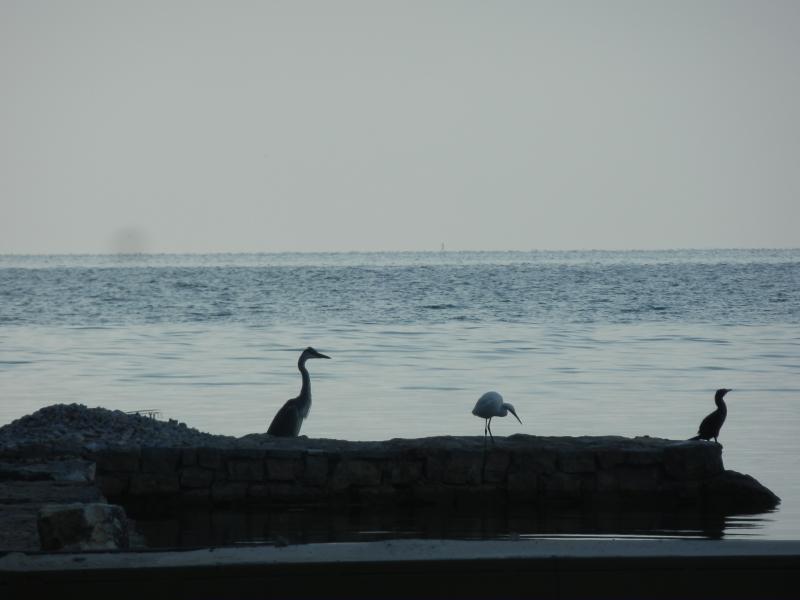 P8041253
