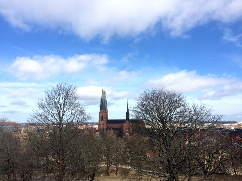 od_zámku_30.03.19_09.36.12